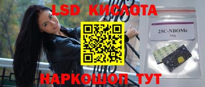прущие грибы Краснознаменск
