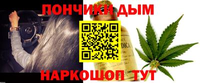 прущие грибы Краснознаменск