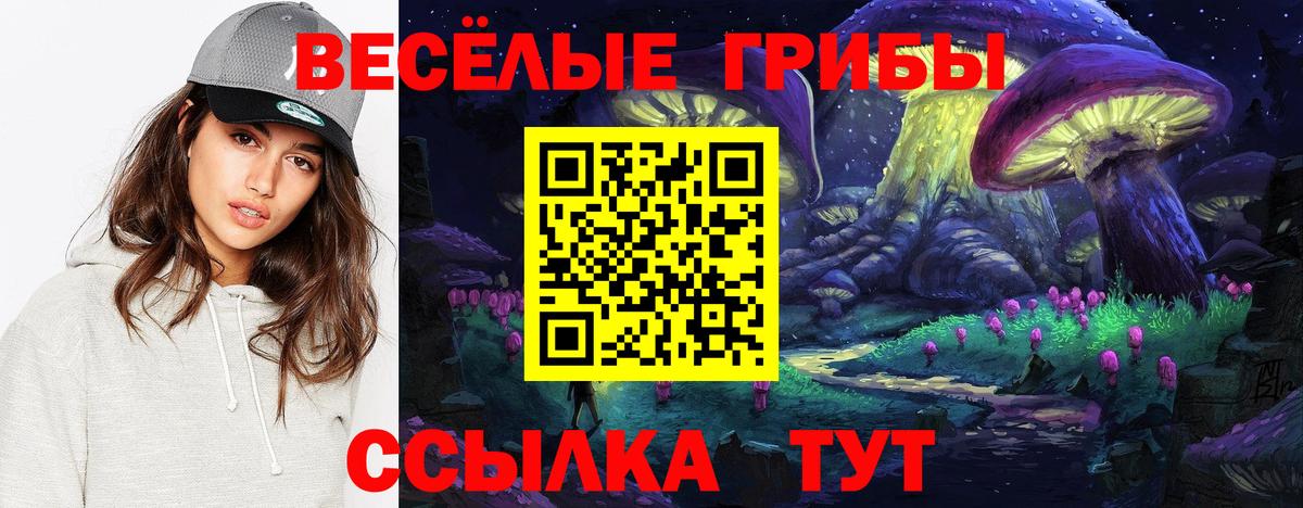 Галлюциногенные грибы Psilocybe Щёкино